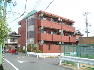 グレース